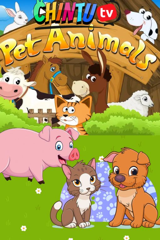 PET ANIMALS