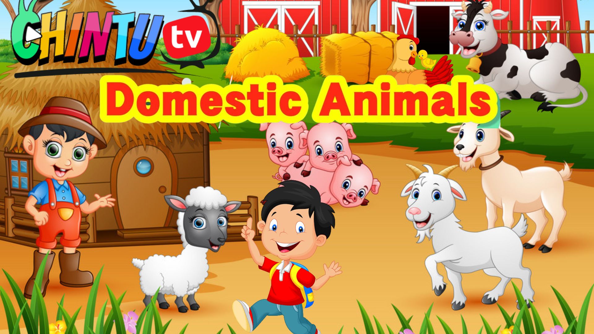 DOMESTIC ANIMALS